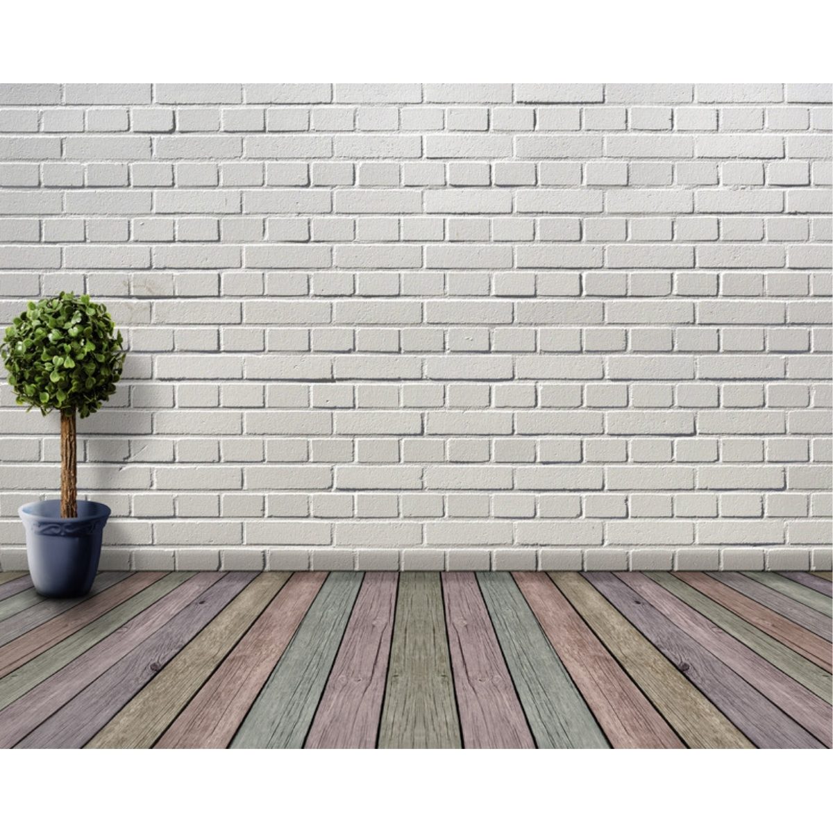 A plain white brick wall above an empty wooden deck with a single potted topiary — an owned, unbuilt plot